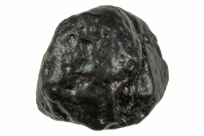 CV Carbonaceous Chondrite Meteorite ( g) - NWA #333052